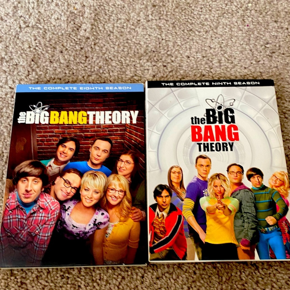 Big Bang Theory Season 8 & 9